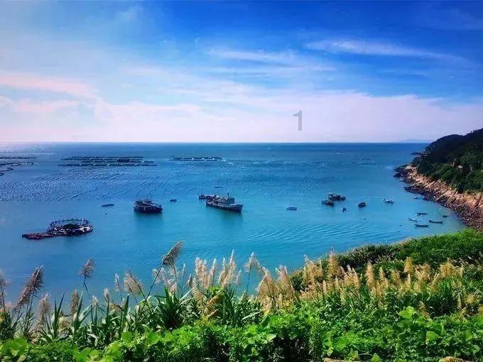 胃酸倒流很容易烧伤食管,那该如何防治胃酸倒流?-专业的知识问答网页